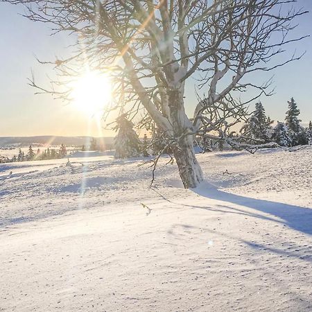 Cozy Home In Sjusjoen With Kitchen Exterior photo